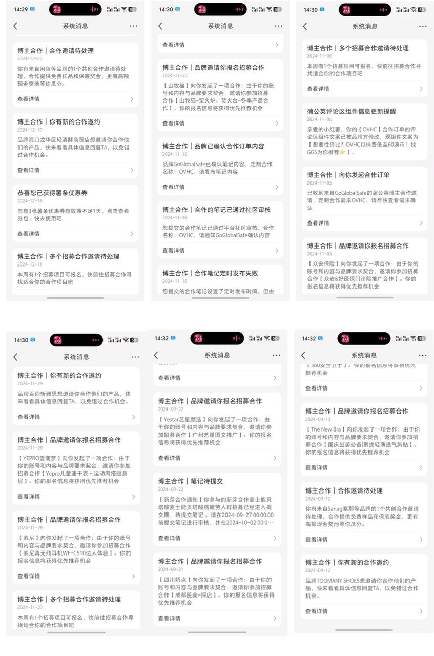 澳洲打工度假3个月:我如何从0到6000粉,把经历做成内容资产并变现5W+ 配图1